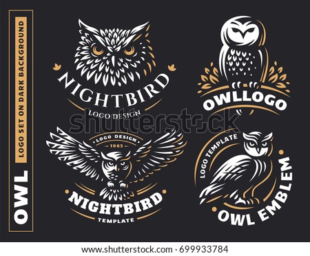 Detail Owl Vector Png Nomer 42