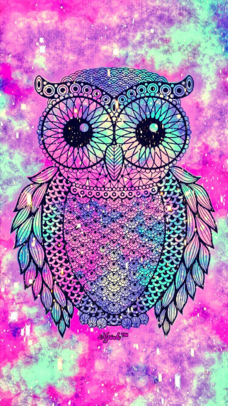 Detail Owl Wallpaper Android Nomer 28