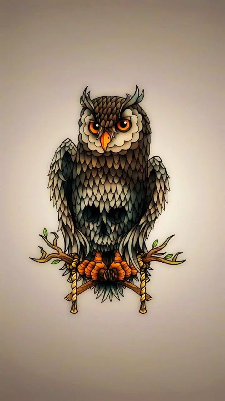 Detail Owl Wallpaper Hd Nomer 22