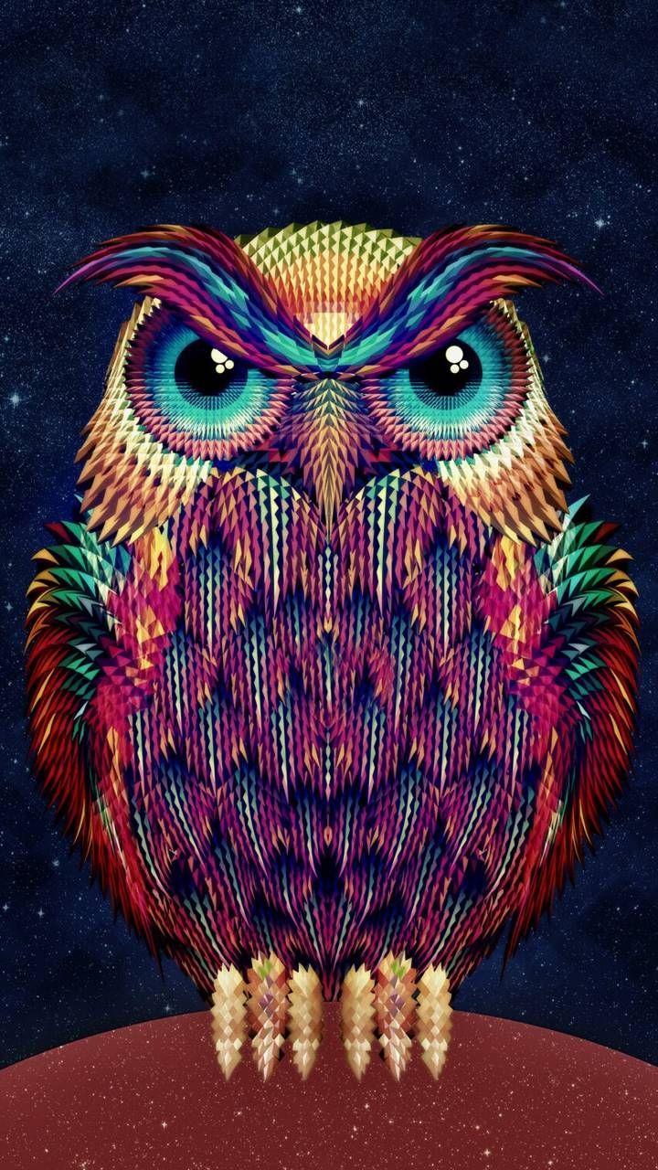 Detail Owl Wallpaper Hd Nomer 28