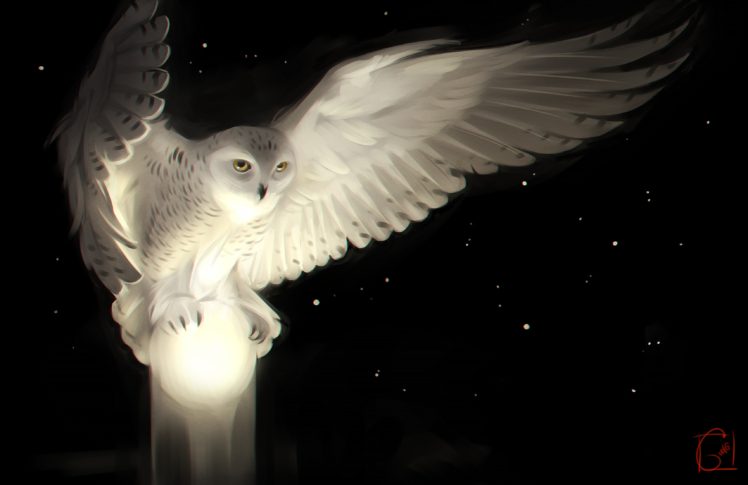 Detail Owl Wallpaper Hd Nomer 34