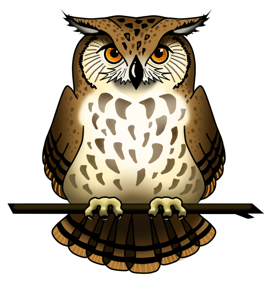 Detail Owls Png Nomer 17