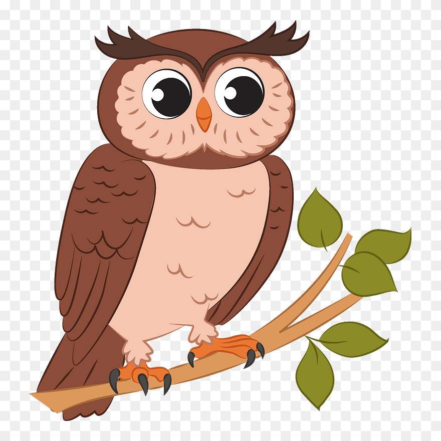Download Owls Png Nomer 21