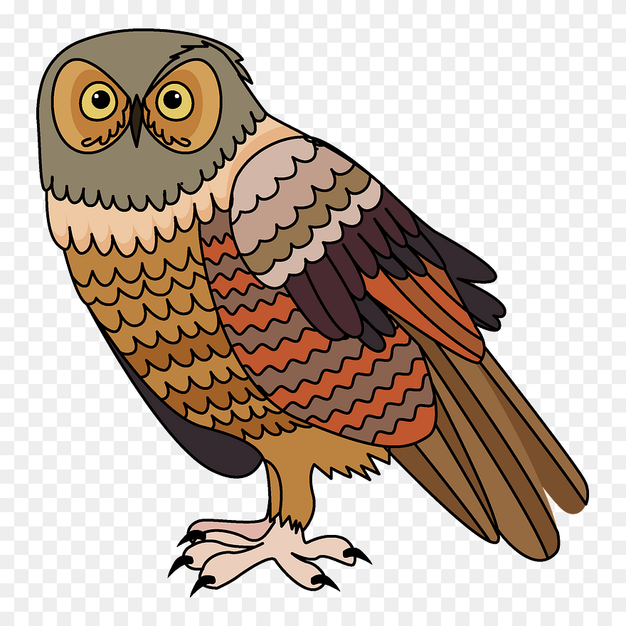 Detail Owls Png Nomer 51