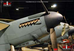 Detail P 38 Lightning Vs Mosquito Nomer 43