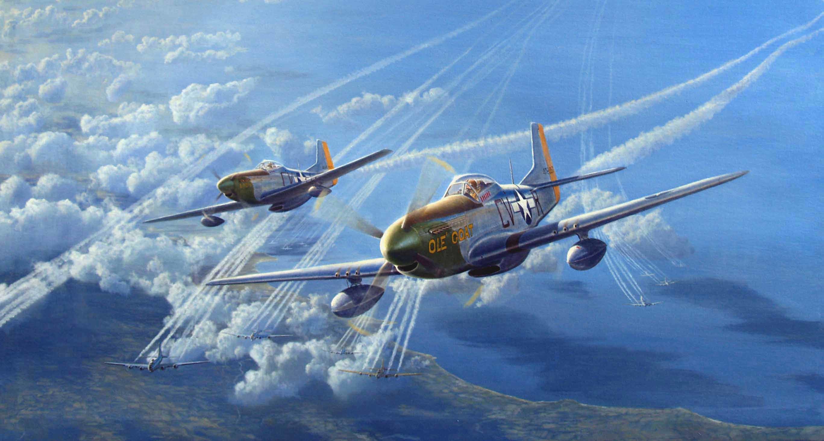 Detail P 51 Mustang Background Nomer 13