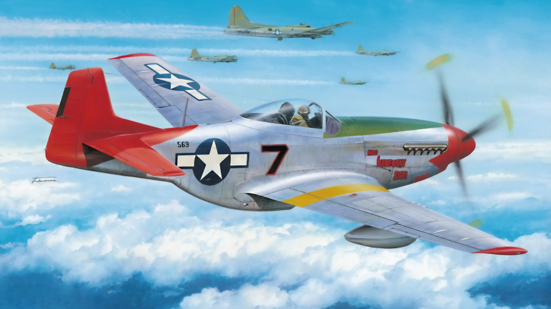 Detail P 51 Mustang Background Nomer 17