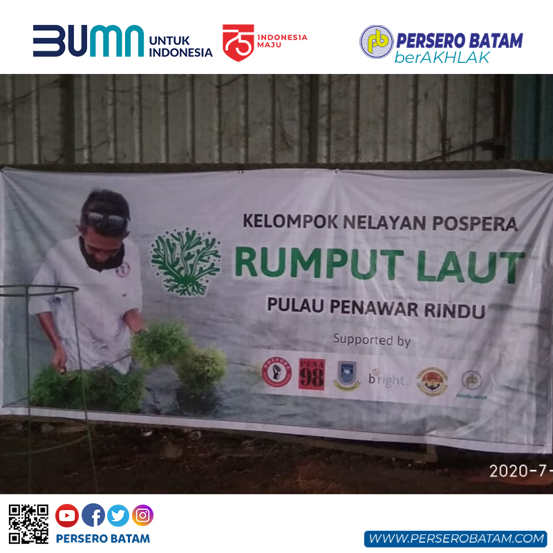 Detail Logo Rumput Laut Nomer 41