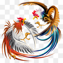 Detail Logo Sabung Ayam Nomer 2