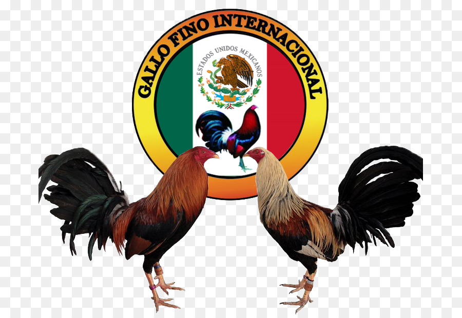 Detail Logo Sabung Ayam Nomer 13