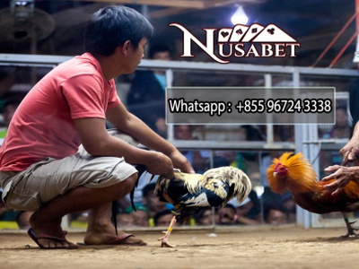 Detail Logo Sabung Ayam Nomer 19