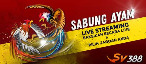 Detail Logo Sabung Ayam Nomer 20