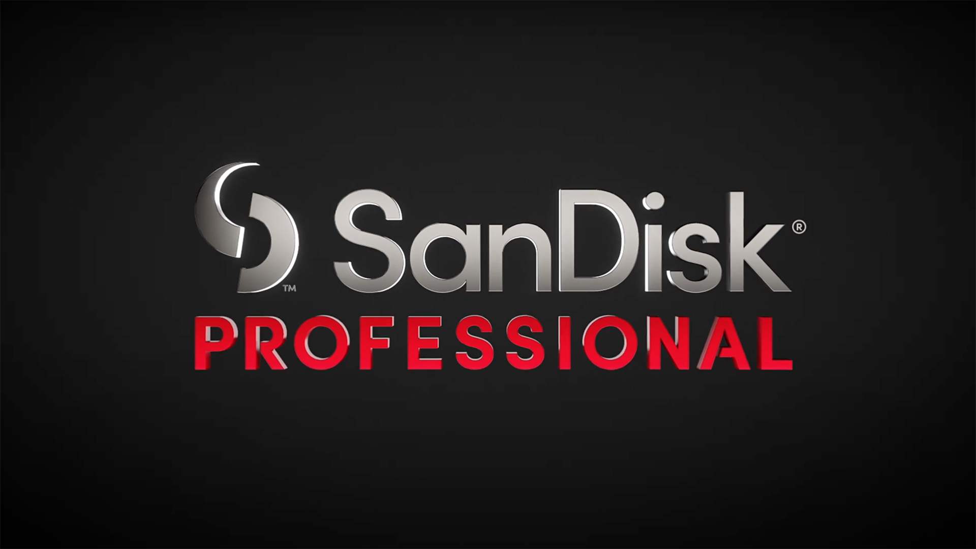 Detail Logo Sandisk Png Nomer 20