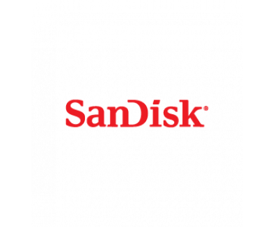 Detail Logo Sandisk Png Nomer 35
