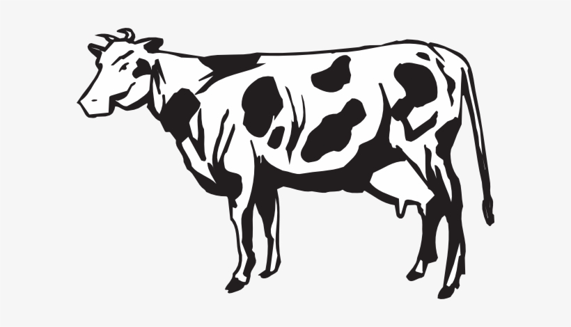 Detail Logo Sapi Perah Nomer 16