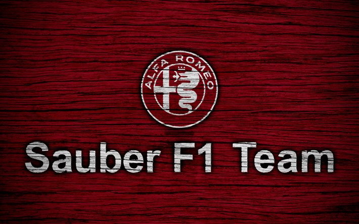 Detail Logo Sauber F1 Nomer 15