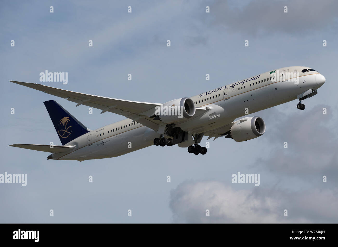 Detail Logo Saudi Arabian Airlines Png Nomer 38