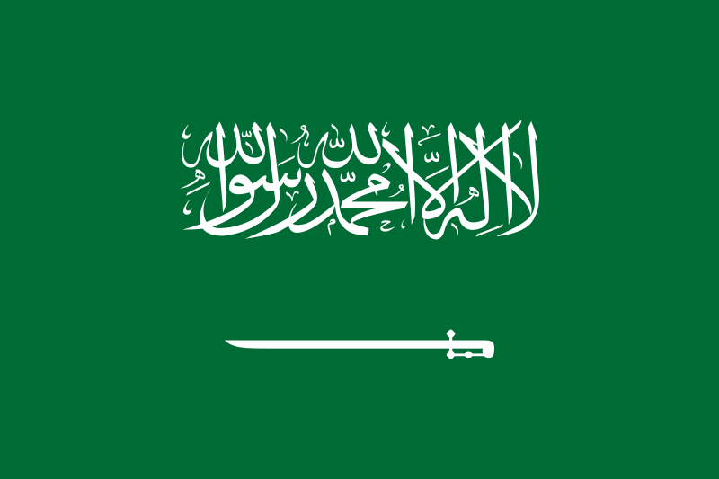 Detail Logo Saudia Png Nomer 35