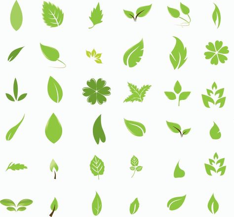Detail Logo Sayuran Hidroponik Nomer 5