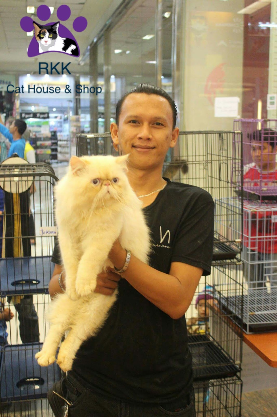 Detail Pacak Kucing Gratis Nomer 27