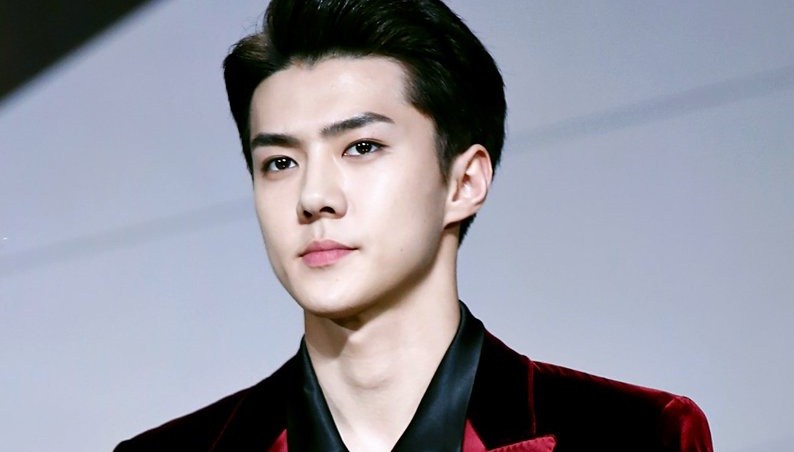 Detail Pacar Sehun Exo Nomer 19