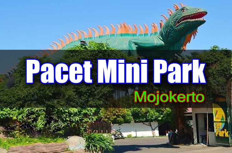 Detail Pacet Mini Park Nomer 14