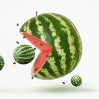 Detail Pacman Watermelon Nomer 14