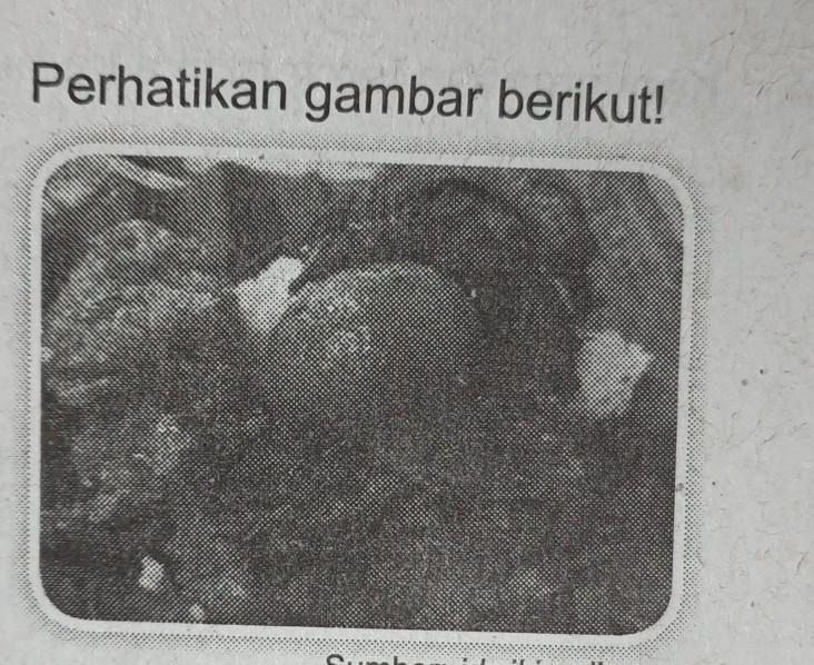 Detail Pada Gambar Di Atas Nomer 46