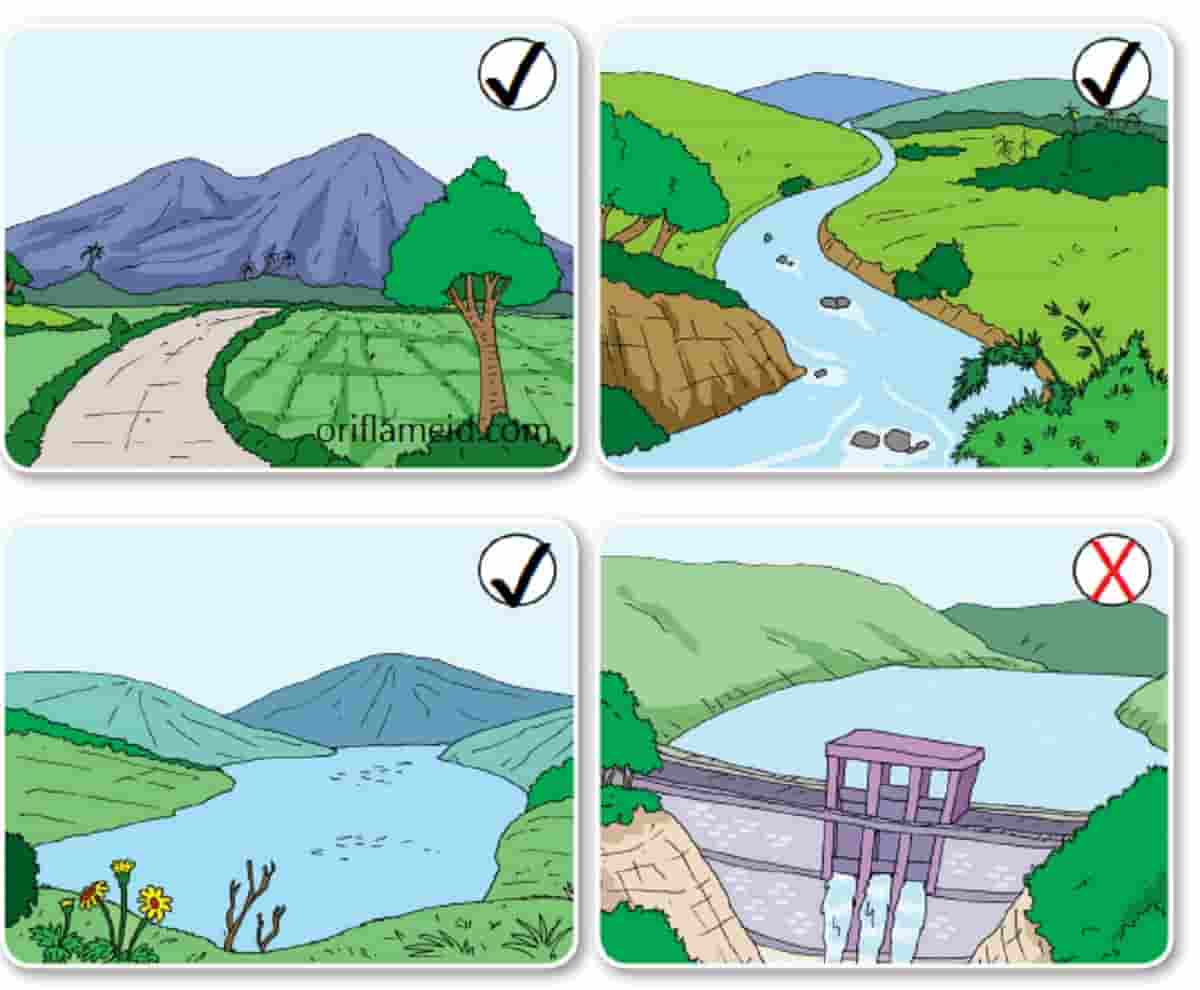 Detail Pada Gambar Di Atas Nomer 6