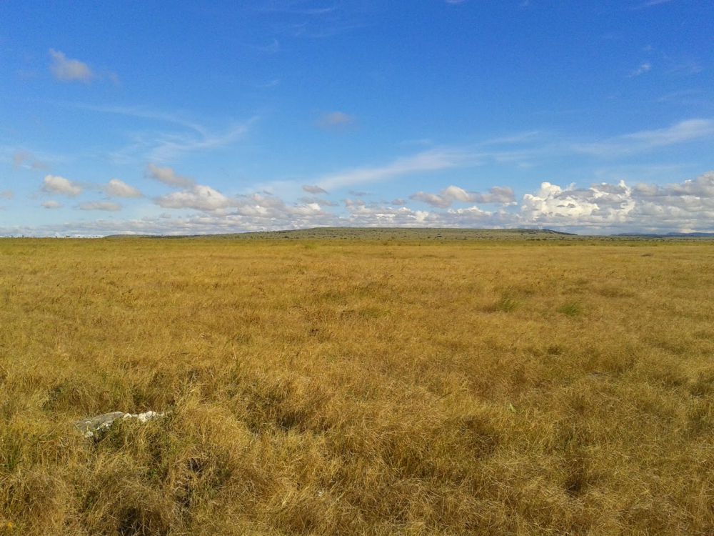 Detail Padang Rumput Di Indonesia Nomer 29