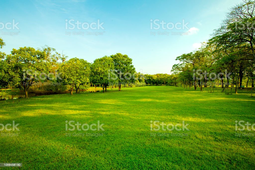 Detail Padang Rumput Hijau Nomer 21