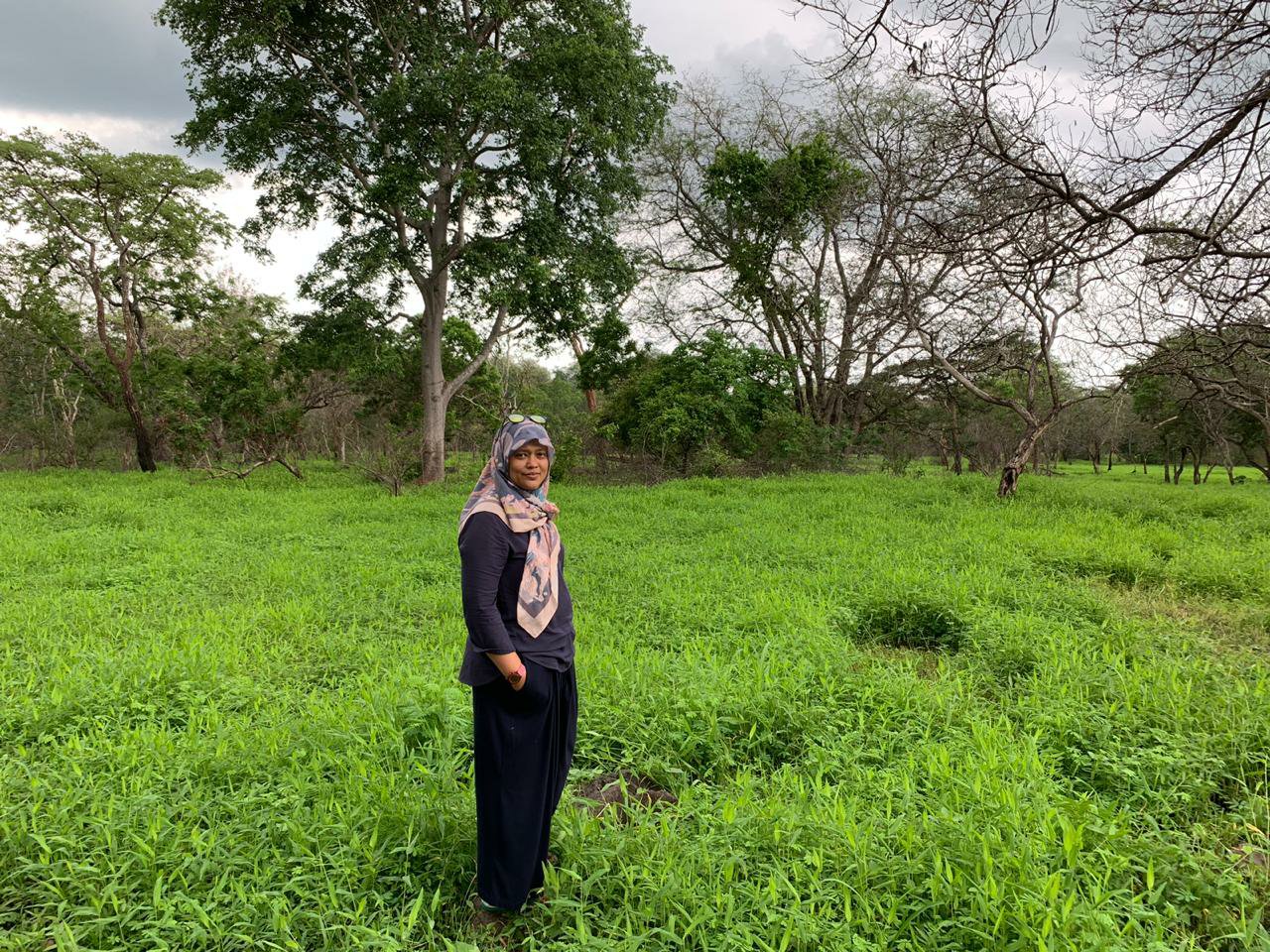 Detail Padang Rumput Yang Ada Pepohonannya Nomer 48