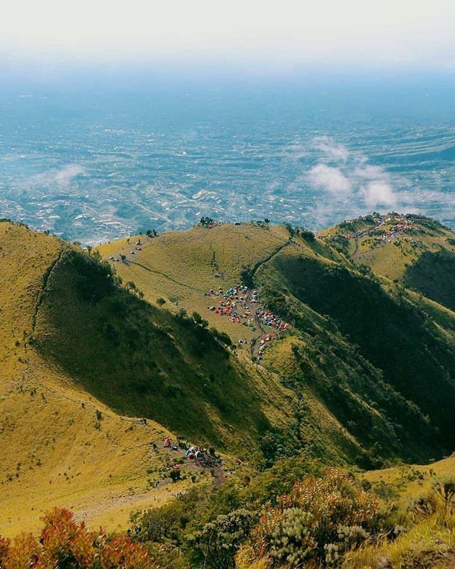 Detail Padang Rumput Yang Ada Pohonnya Nomer 10