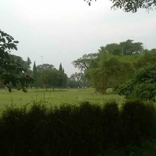 Detail Padang Rumput Yang Ada Pohonnya Nomer 31