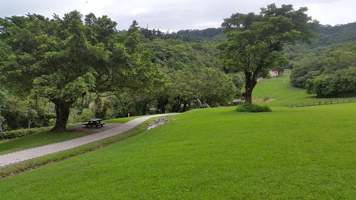 Detail Padang Rumput Yang Ada Pohonnya Nomer 8