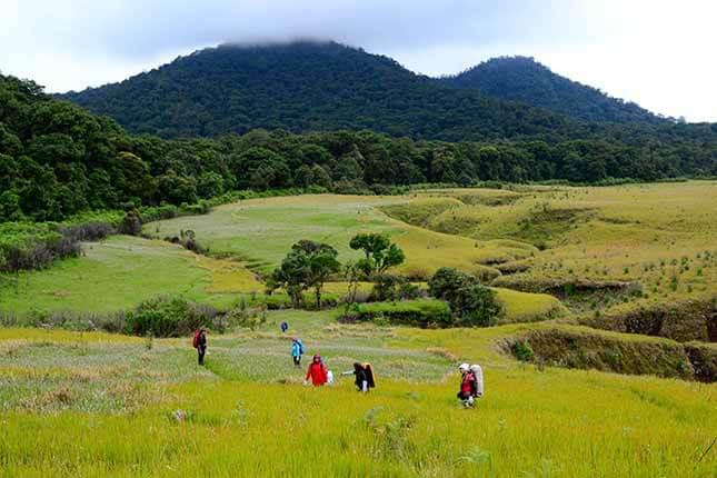 Detail Padang Savana Afrika Nomer 43