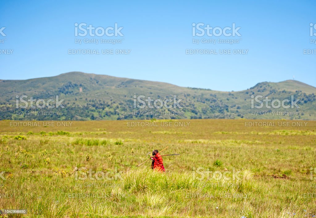 Detail Padang Savana Afrika Nomer 47