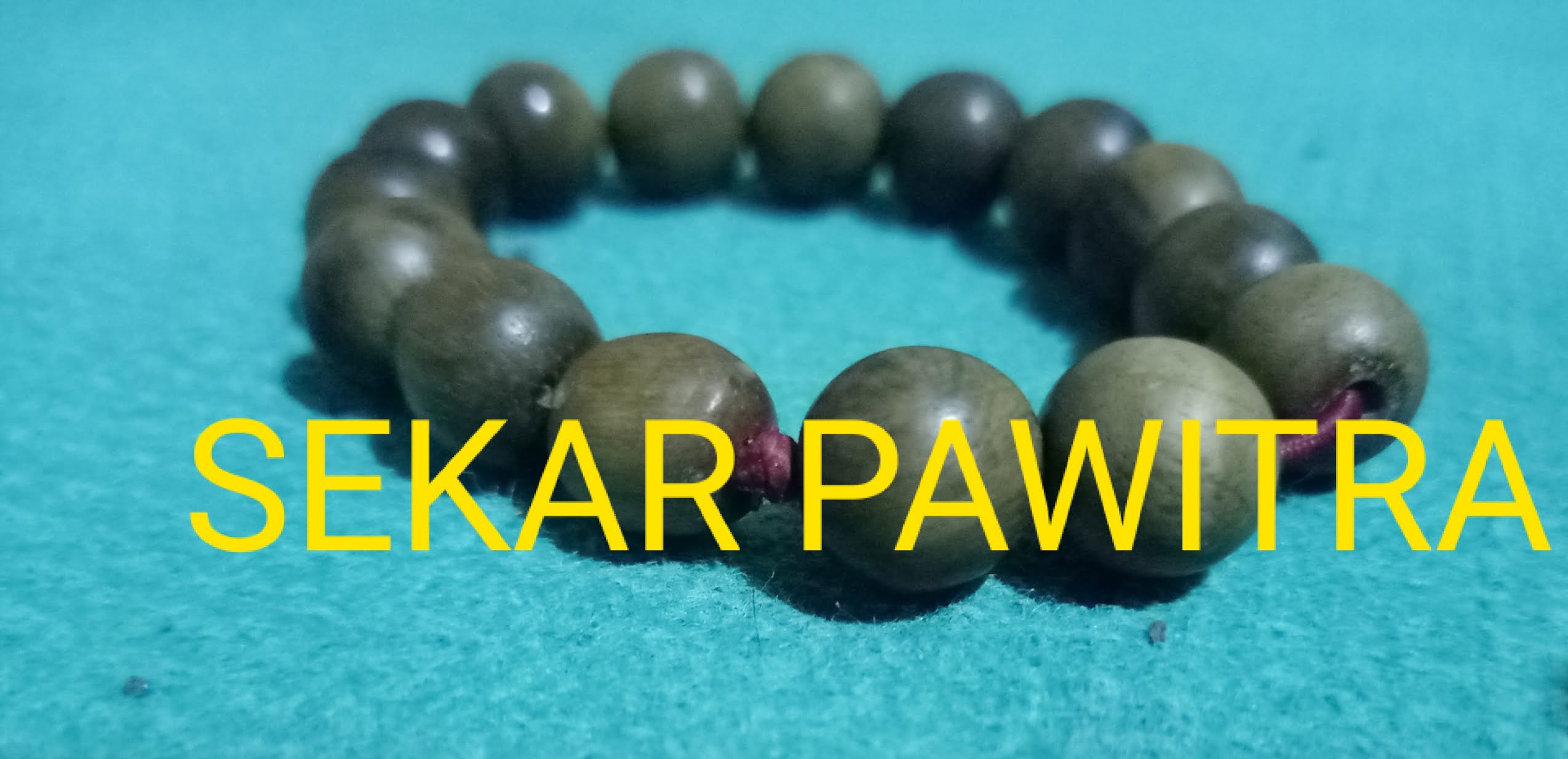 Detail Padepokan Sekar Pawitra Nomer 38