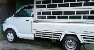 Detail Pagar Mobil Carry Pick Up Nomer 13