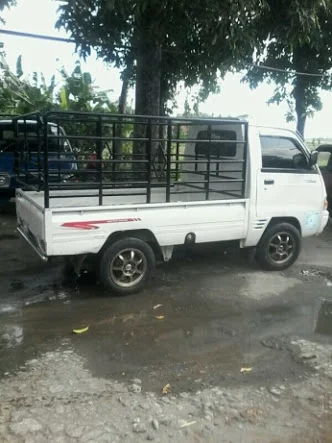 Detail Pagar Mobil Carry Pick Up Nomer 16