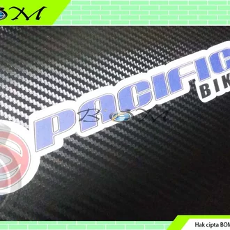 Detail Logo Sepeda Pacific Nomer 18