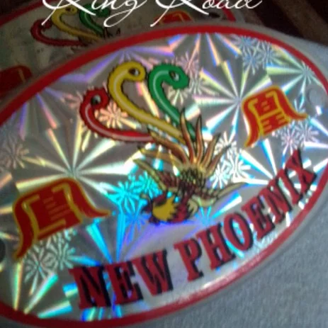 Detail Logo Sepeda Phoenix Nomer 50