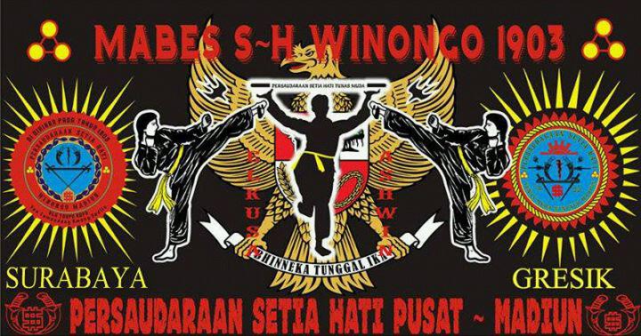 Detail Logo Setia Hati Winongo Nomer 30