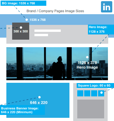 Detail Logo Size For Linkedin Nomer 8