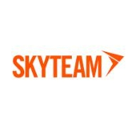 Detail Logo Sky Team Nomer 38