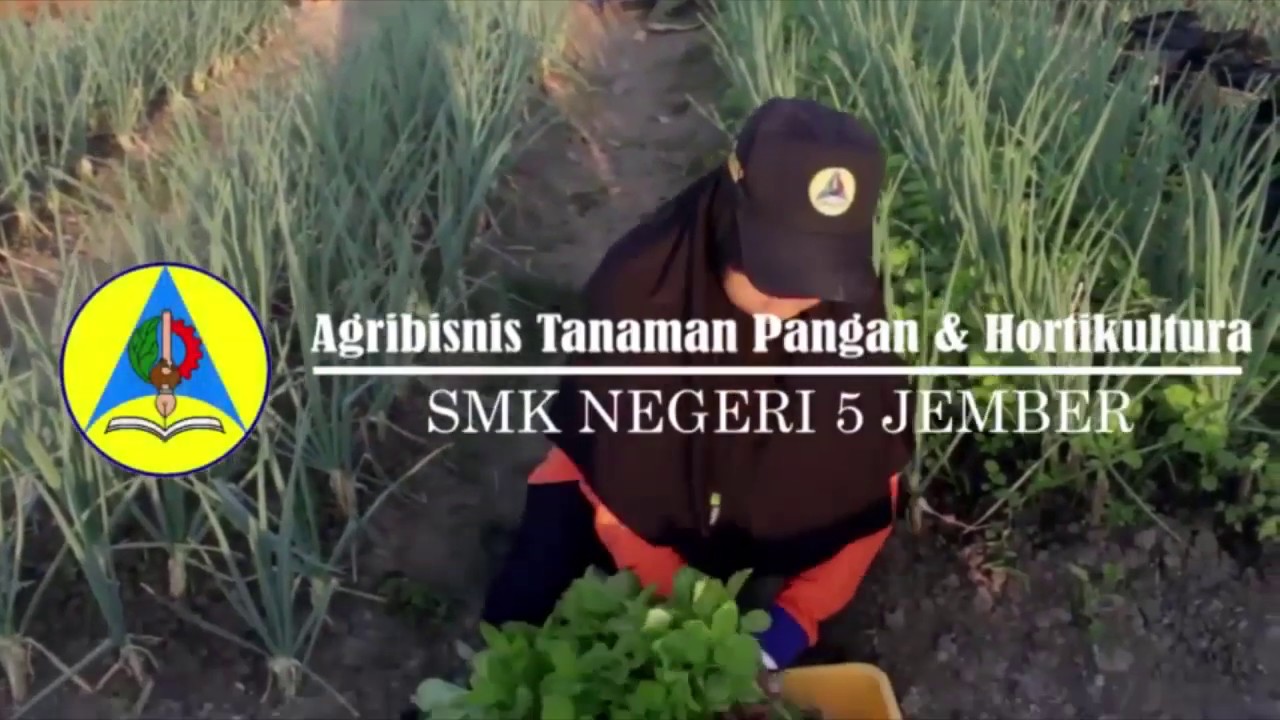 Detail Logo Smkn 5 Jember Koleksi Nomer 27