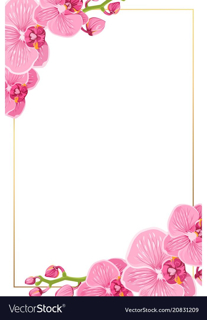 Detail Page Border Bunga Nomer 6