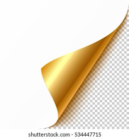 Detail Page Curl Png Nomer 12