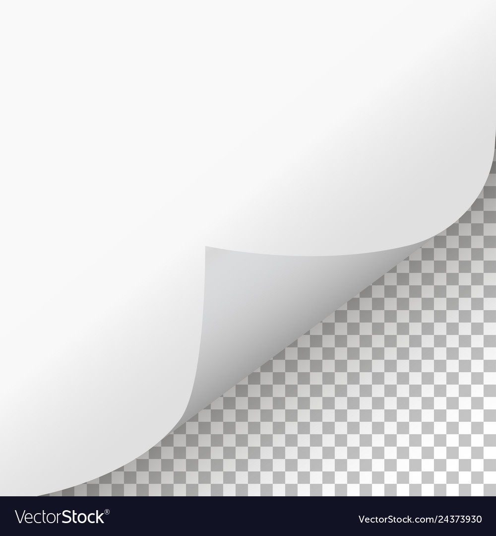 Detail Page Curl Png Nomer 16