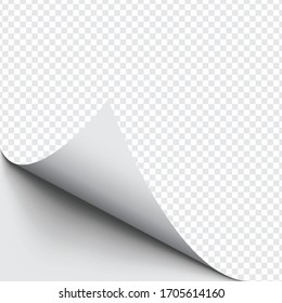 Detail Page Curl Png Nomer 3